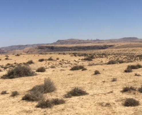 desierto-jordania-lasser-eolica